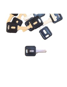 Blank" keys for locksmith duplication