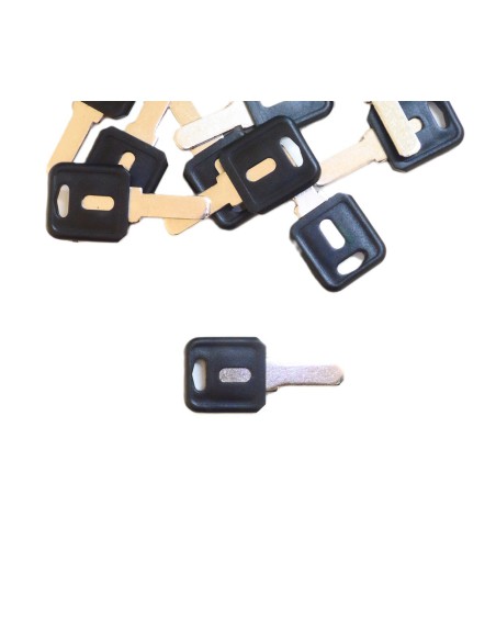 Blank" keys for locksmith duplication